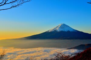新年に誰よりもお祝いの気持ちを伝えたい方へ！【祝い竹炭】の魅力