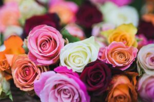 母の日に想いをお花に込めて【ベルビーフルール】