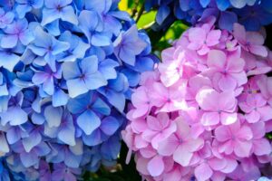 結婚準備中の花嫁へ贈る、心を整えるためのアドバイス